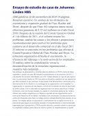 Ensayo de estudio de caso de Johannes Linden HBS