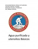 Desarollo humano vida dinamica . Introducción. Justificación