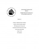 PRE-Reporte de la Práctica 06 Fenómenos de formación de mezclas