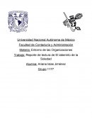 LABERINTO DE LA SOLEDAD OCTAVIO PAZ