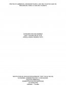 PROYECTO AMBIENTAL DESINCENTIVAR EL USO DEL PLASTICO QUE ES PERJUDICIAL PARA LA VIDA DEL PLANETA