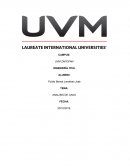ANALISIS DE CASO : Problemática Laboral