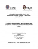 Ensayo sobre la propiedad intelectual y ejemplo de derecho de autor