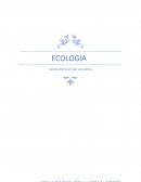 Ecologia ( quien se encarga de las áreas verdes)