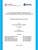 Proceso de selección LATAM