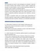 Bioelectricidad del cuerpo