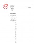 INFORME LABORATORIO MEDIDAS INCERTIDUMBRE