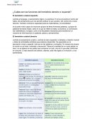 Introduccion psicologia. El hemisferio cerebral izquierdo