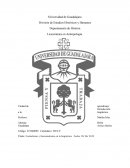 Funcionalismo y formalismo en el lenguaje