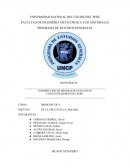 Conminucion de minerales