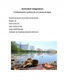 Contaminación química de un cuerpo de agua