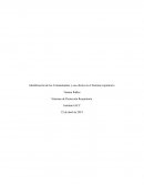 Identificación de los Contaminantes y sus efectos en el Sistema respiratorio