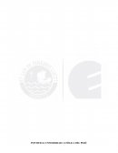 Diagnóstico Operativo Empresarial de la empresa Jugos del Perú S.A.