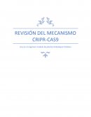 Revisión mecanismo CRISPR-Cas9 y su uso en el organismo modelo en plantas Arabidopsis thaliana