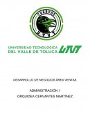 DESARROLLO DE NEGOCIOS ÁREA VENTAS empresa: Peluches Ali