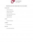 INFORME DEL SEGUNDO LABORATORIO: ENSAYO DE TORSIÓN