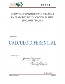 Actividades propuestas para la materia de cálculo diferencial