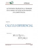 ACTIVIDADES PROPUESTAS PARA LA MATERIA DE CÁLCULO DIFERENCIAL