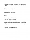 Informe de encuesta sobre influencia de anuncios publicitarios