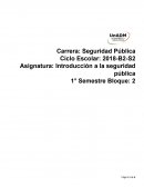 Introducción a la seguridad pública