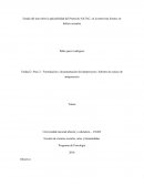 Estado del arte sobre la aplicabilidad del Protocolo SATAC, en la entrevista forense en delitos sexuales