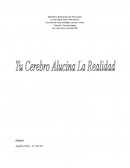 Tu Cerebro Alucina La Realidad