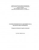 FACTORES INTERVINIENTES EN EL MANTENIMIENTO DE LA RELACIÓN DE PAREJA HETEROSEXUAL