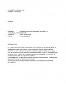 INFORME DE ANÁLISIS FODA. EMPRESA: “INFODEMA”