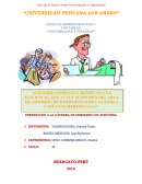 AUDITORIA OPERATIVA RESPECTO A LA EFICIENCIA, EFICACIA Y ECONOMÍA DEL ÁREA DE ADMISIÓN DE EMERGENCIA DE LA CLINICA CAYETANO HEREDIA S.A.C