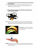 Introduccion de nuevos productos