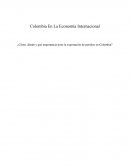 Petroleo Internacional De Colombia