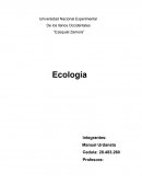 Ensayo de ecologia