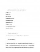 INFORME FIGURA HUMANA