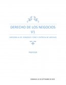 ASESORÍA AL SR. GONZÁLEZ: FORO Y ENTREGA DE ARCHIVO