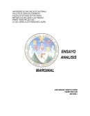 ANALISIS MARGINAL