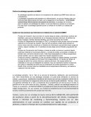 Cuál es la estrategia operativa de BMW?