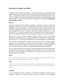 Burocracia en el seguro social IMSS