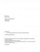 TAREA Nº 4 DE METROLOGIA IACC