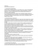 CASO IMPORTADORA LOGMARK ESAPRO S.A