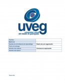 Diseño de una negociacion