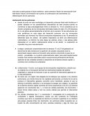 Sistema respiratorio embriologia