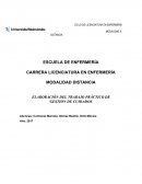 ELABORACIÓN DEL TRABAJO PRÁCTICO DE GESTION DE CUIDADOS
