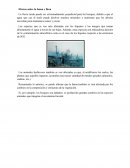 Efectos sobre fauna y flora subterranea