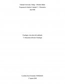 Penología y derechos del confinado