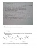 Antocianinas y betalainas