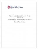 Practica bioquimica. Cromatografia en capa fina
