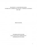 ANALISIS EMPRESA SELECCIONADA, A PARTIR DE LAS MATRICES EFE Y MPC