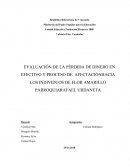 EVALUACIÓN DE LA PÉRDIDA DE DINERO EN EFECTIVO Y PROCESO DE AFECTACIÓNHACIA LOS INDIVIDUOS DE FLOR AMARILLO PARROQUIARAFAEL URDANETA