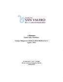 Trabajo Obligatorio ENERGÍA MINI-HIDRÁULICA