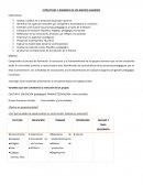 Estructura y dinámica de grupos humanos